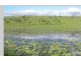 Lot 11 Cnr Beaudesert Nerang Road & Biddaddaba Creek Road, Boyland QLD 4275