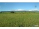 Lot 11 Cnr Beaudesert Nerang Road & Biddaddaba Creek Road, Boyland QLD 4275