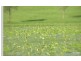 Lot 11 Cnr Beaudesert Nerang Road & Biddaddaba Creek Road, Boyland QLD 4275