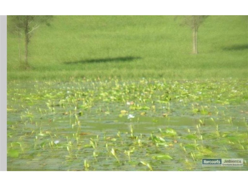 Lot 11 Cnr Beaudesert Nerang Road & Biddaddaba Creek Road, Boyland QLD 4275