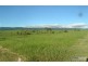 Lot 11 Cnr Beaudesert Nerang Road & Biddaddaba Creek Road, Boyland QLD 4275