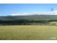 Lot 11 Cnr Beaudesert Nerang Road & Biddaddaba Creek Road, Boyland QLD 4275
