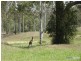 Lot 2 Brennan Street, Allenview QLD 4285