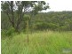 60 Boomerang Drive, Kooralbyn QLD 4285