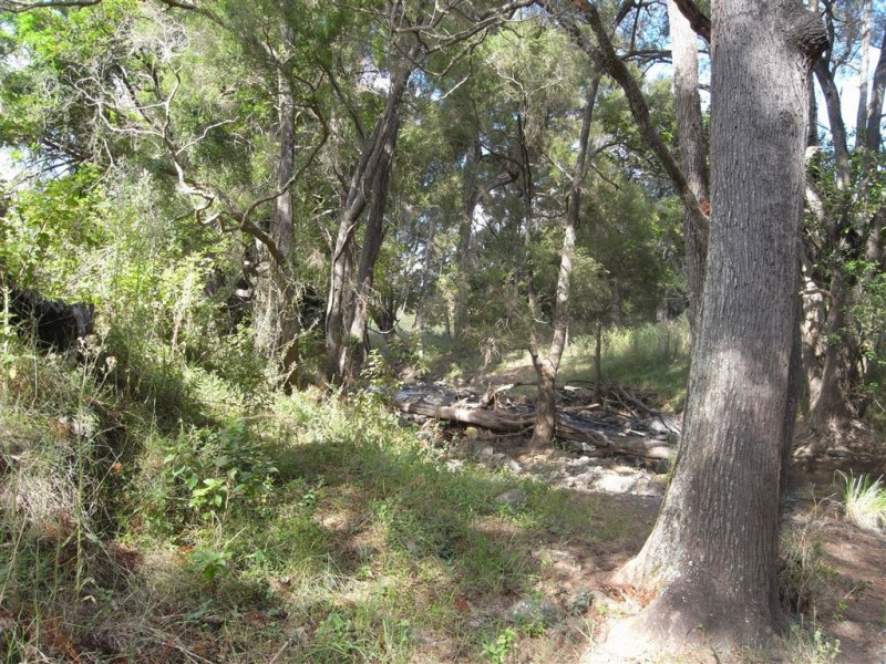 467 Tartar Creek Road, Running Creek QLD 4287