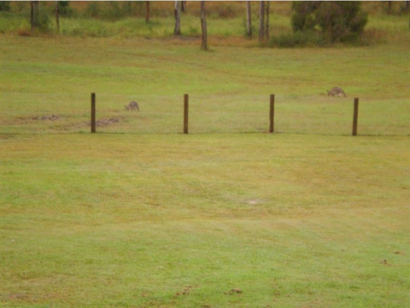 Jimboomba QLD 4280