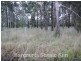 121 Redwood Circle, Jimboomba QLD 4280