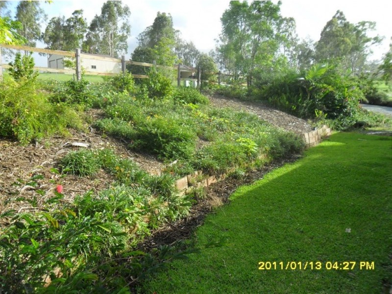 127 Peppertree Drive, Jimboomba QLD 4280