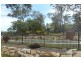 17 Bellbird Drive, New Beith QLD 4124