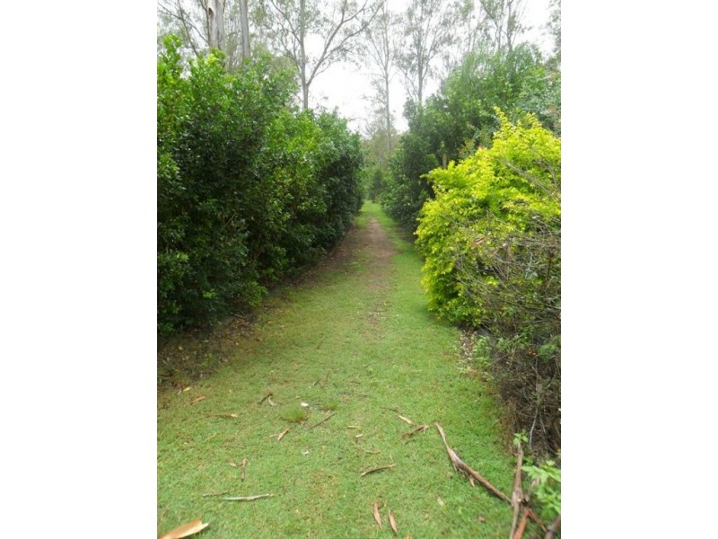 56 Grampian Rd, South Maclean QLD 4280