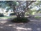 64 Teak Street, Cedar Vale QLD 4285