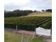 821 Upper Logan Road, Mount Barney QLD 4287