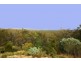 260 Mona Drive, Jimboomba QLD 4280