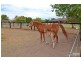 24 Shergar Court, Jimboomba QLD 4280