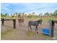 24 Shergar Court, Jimboomba QLD 4280