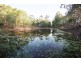 135 Trewin Road, Cedar Vale QLD 4285