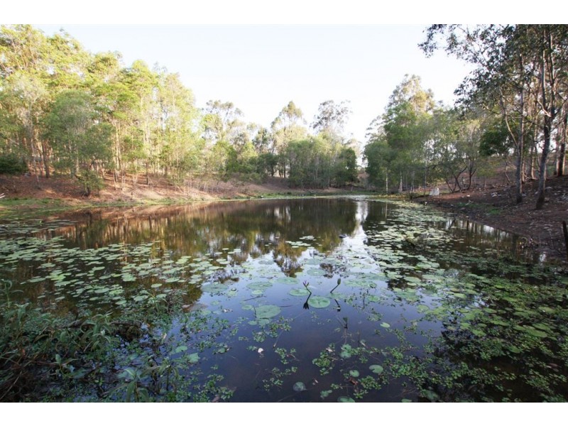 135 Trewin Road, Cedar Vale QLD 4285