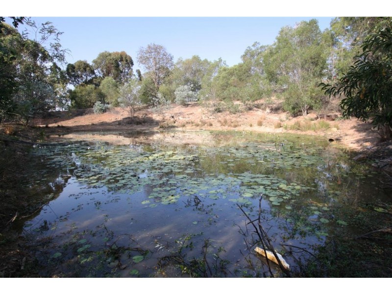 135 Trewin Road, Cedar Vale QLD 4285