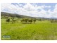 102 Widgee Creek Road, Hillview QLD 4285