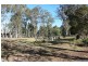 87 Cusack Lane, Jimboomba QLD 4280