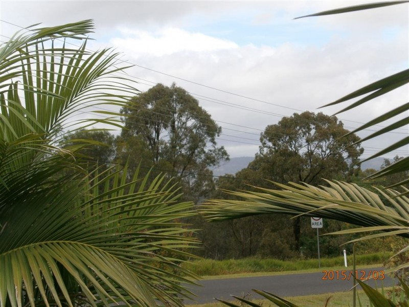 98 Haygarth Street, Kooralbyn QLD 4285