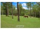 1053 Teviot Road, South Maclean QLD 4280