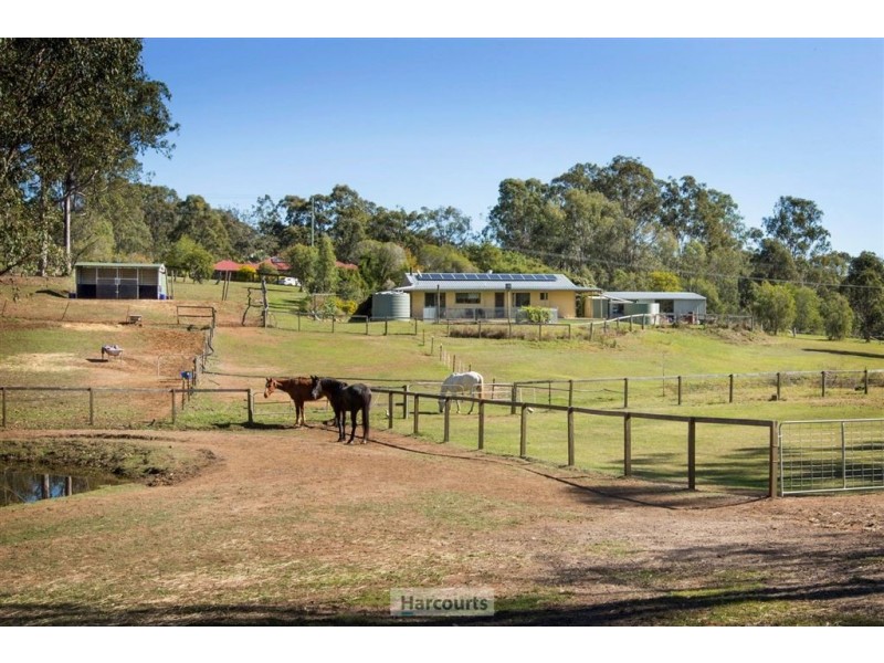 116 Deltoro Road, Cedar Grove QLD 4285