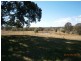 Cedar Vale QLD 4285