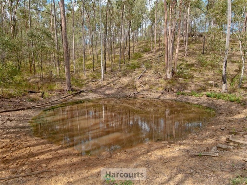 116 McDonald Road, Jimboomba QLD 4280