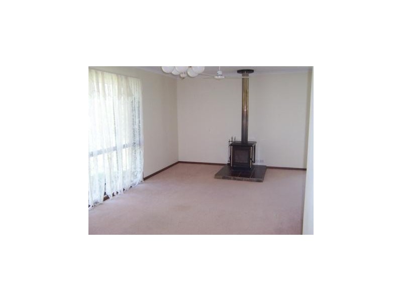 29 Bamboo Drive, Cedar Vale QLD 4285