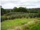Cedar Vale QLD 4285
