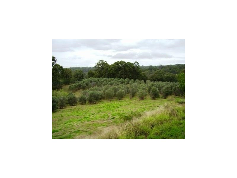 Cedar Vale QLD 4285