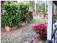 11 Spotted Gum Court, Cedar Grove QLD 4285