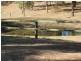 168 Deltoro Road, Cedar Grove QLD 4285