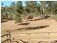 168 Deltoro Road, Cedar Grove QLD 4285