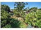31 Tenth Avenue, Windsor QLD 4030
