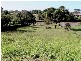 Lot 684 RP 191785 Turquoise Street, Bethania QLD 4205