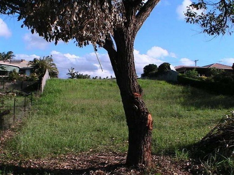 Lot 684 RP 191785 Turquoise Street, Bethania QLD 4205