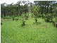 134 Virginia Way, Logan Village QLD 4207