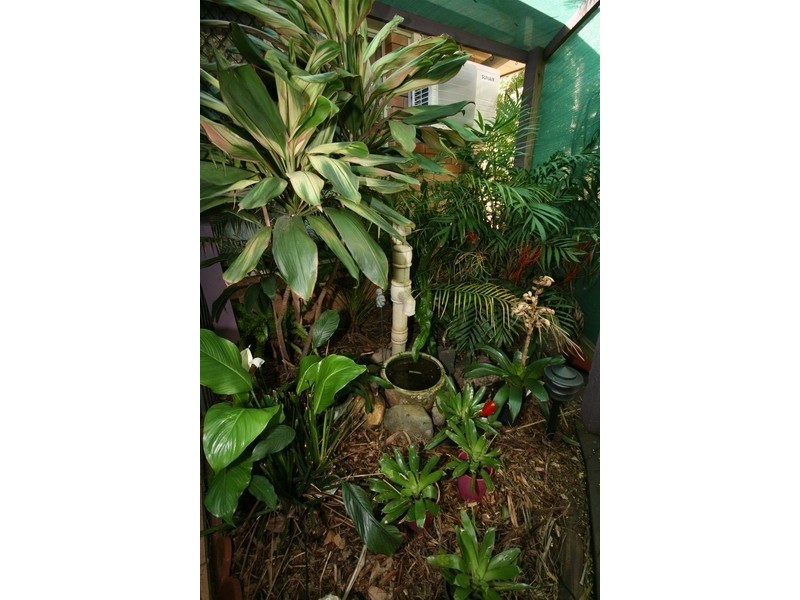 100 Pohon Drive, Tanah Merah QLD 4128