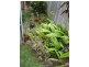 64 Avonmore Street, Edens Landing QLD 4207