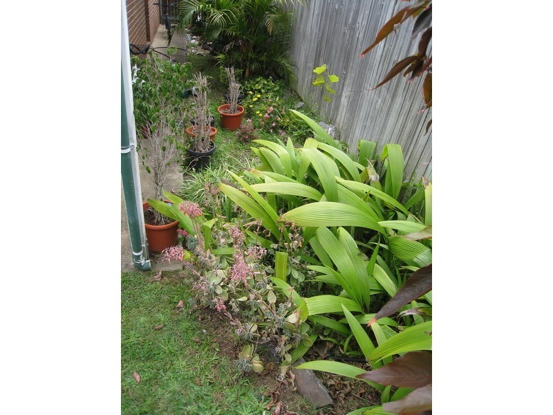 64 Avonmore Street, Edens Landing QLD 4207