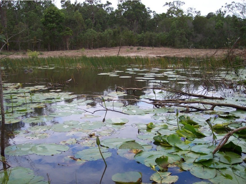 122 Mollenhagen Road, Stockleigh QLD 4280