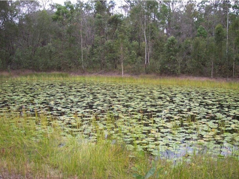 122 Mollenhagen Road, Stockleigh QLD 4280