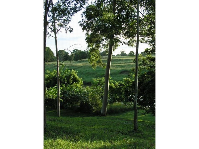 37 Sunbury Street, Buccan QLD 4207