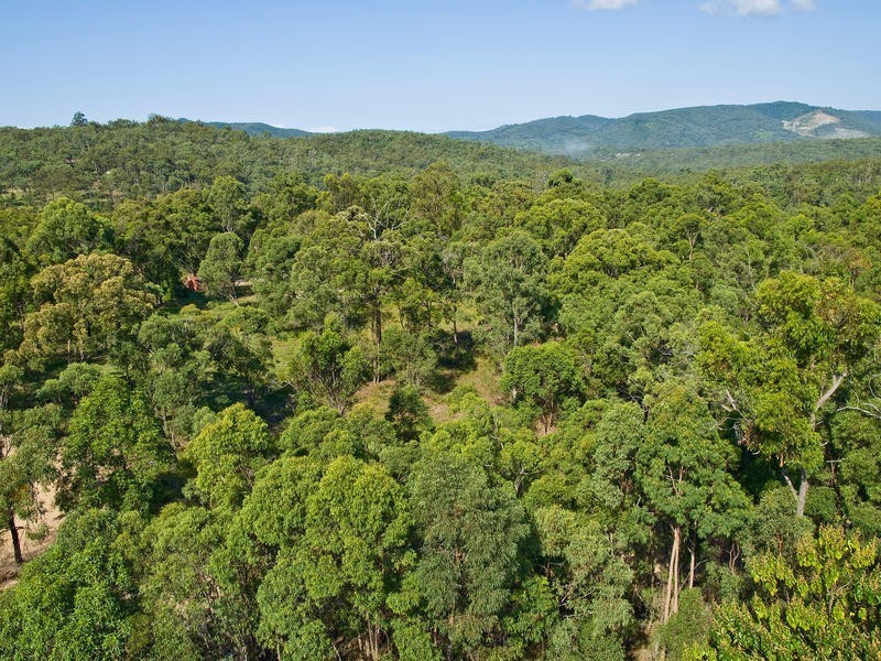 777 Quinzeh Creek Rd, Cedar Creek QLD 4207