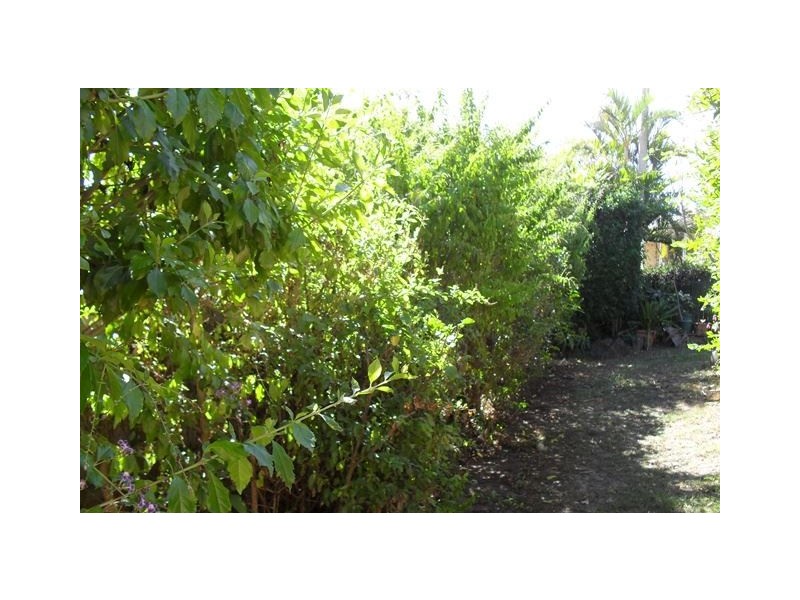 21 Lance Drive, Mount Warren Park QLD 4207