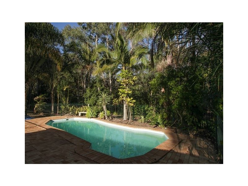 24 Ghostgum Ct, Park Ridge QLD 4125
