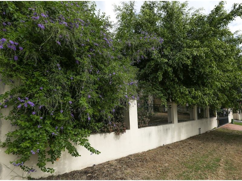 59 White Cedar Circuit, Stretton QLD 4116