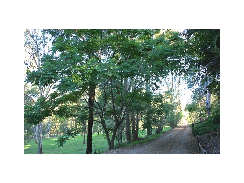 48 Luscombe Cres, Wolffdene QLD 4207